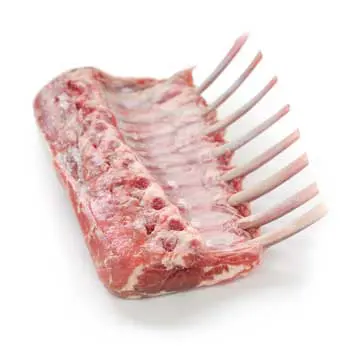 Lamb