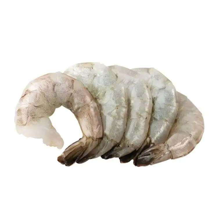 YB_Proteins_Shrimp